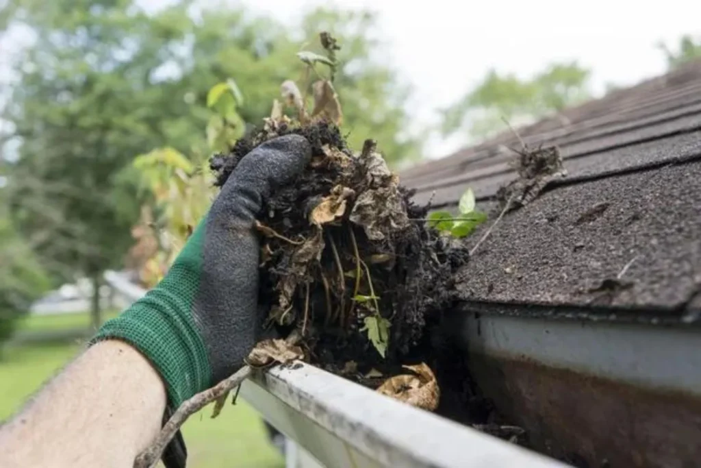 rain gutter cleaning services