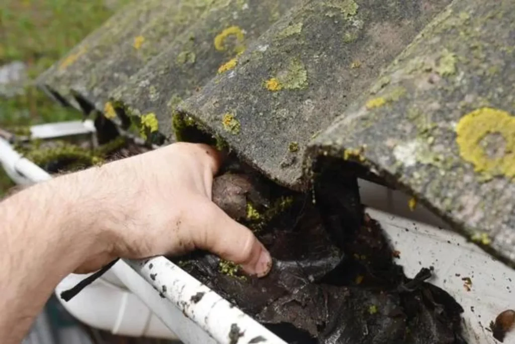 When to Do Gutter Cleaning