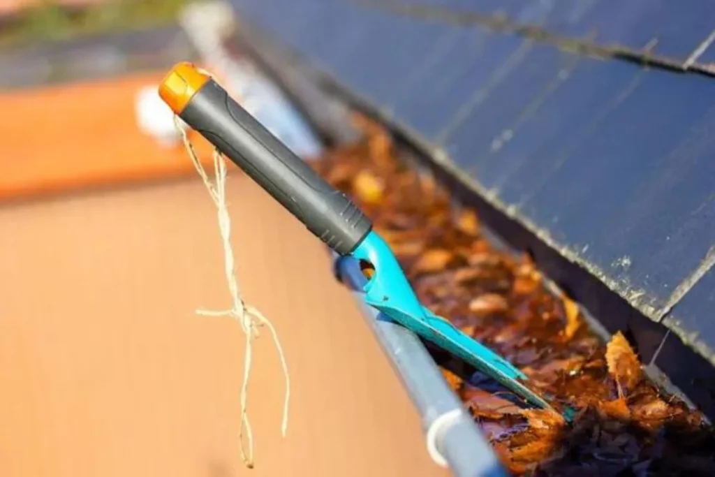 rain gutter cleaning services