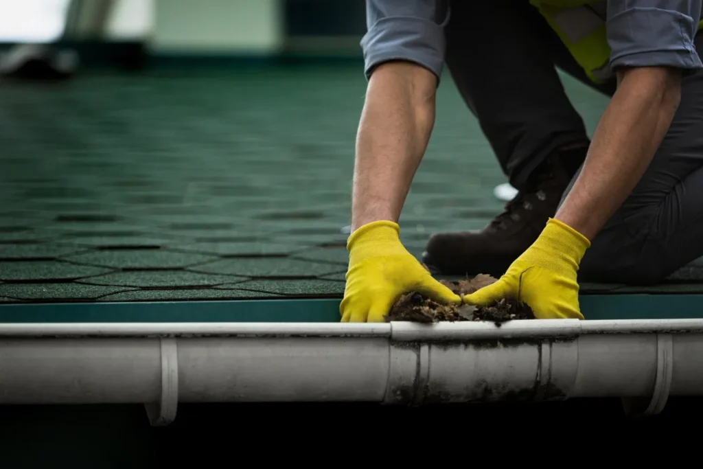 local gutter cleaning