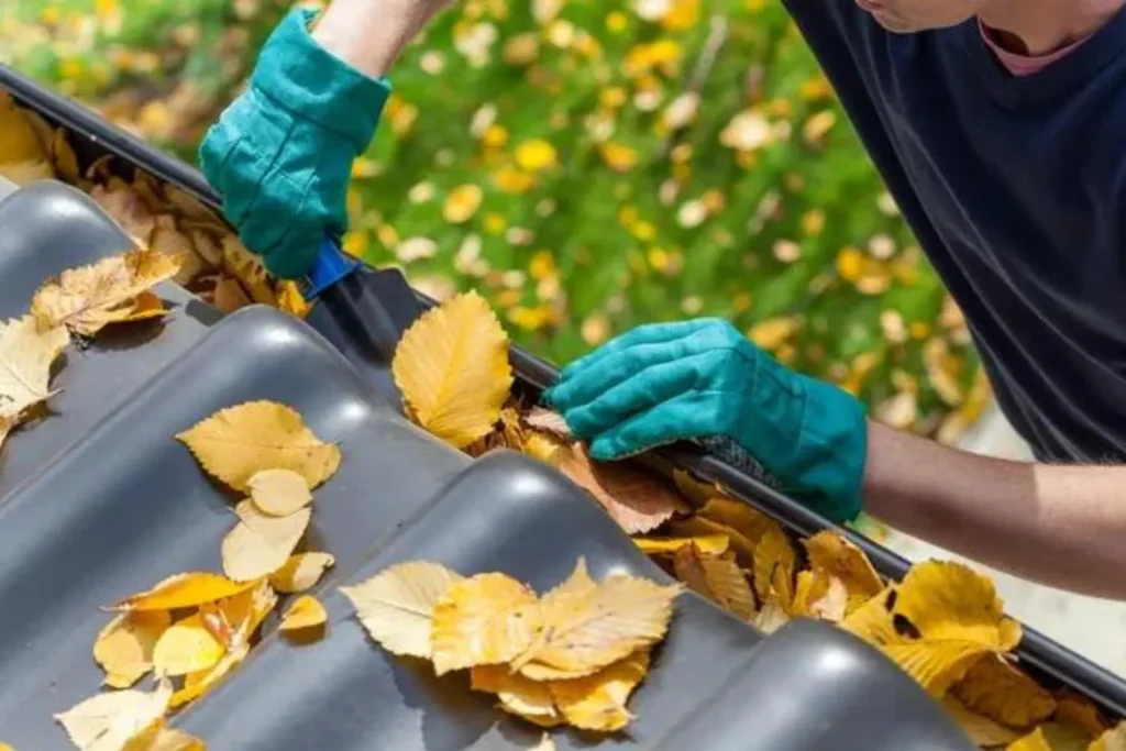 When to Do Gutter Cleaning