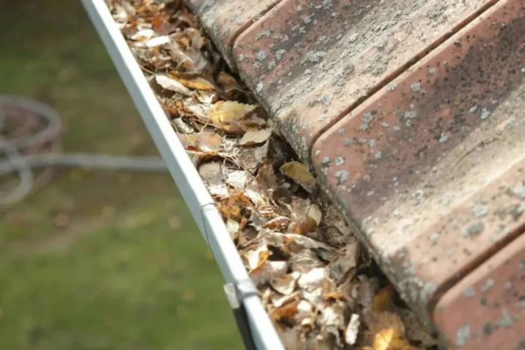 are tenants responsible for gutter cleaning