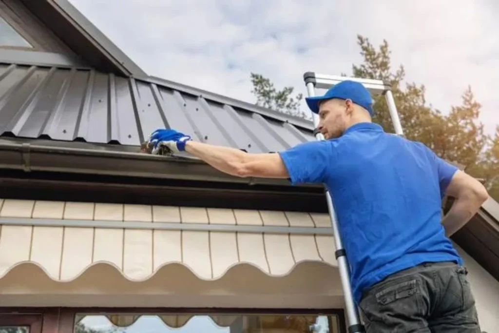 local gutter cleaning