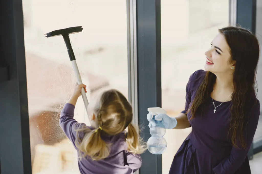 window glass cleaner