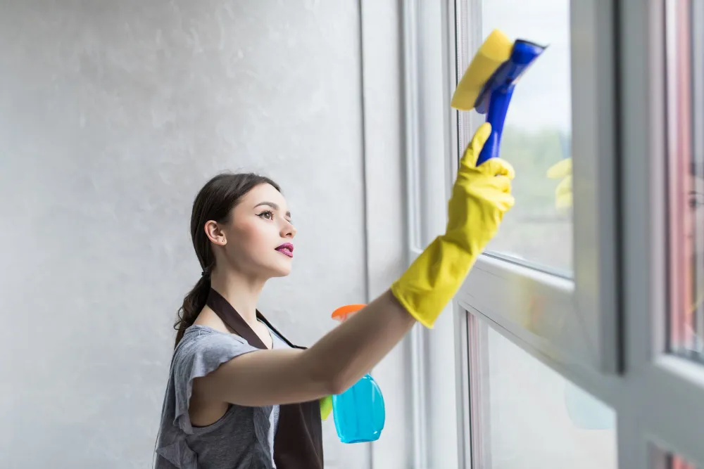 How to Clean Window Screens