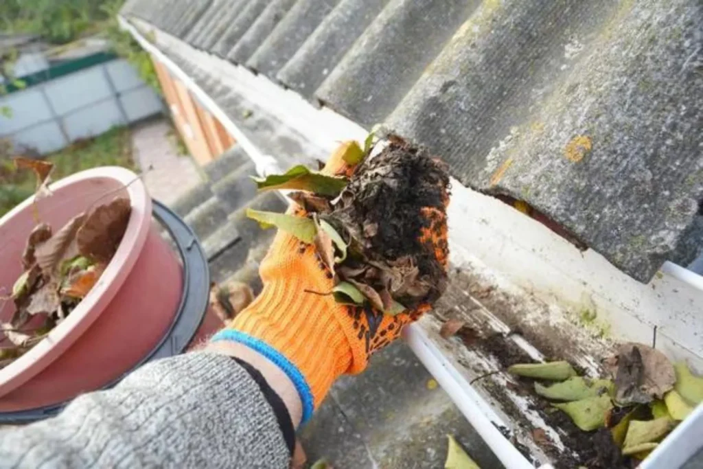 rain gutter cleaning services