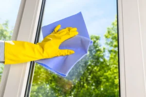 vinyl window cleaner