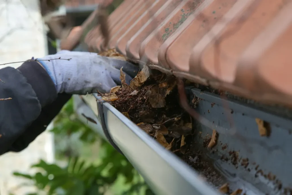 Benefits of Gutter Cleaning