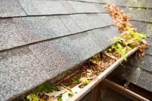 Benefits of Gutter Cleaning