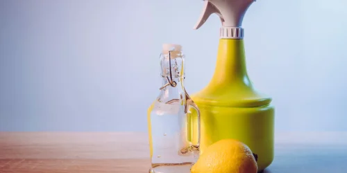 top 5 eco-friendly cleaning solutions