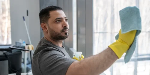 Professional Window Cleaners