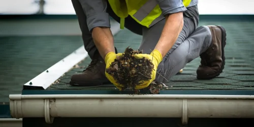 local gutter cleaning