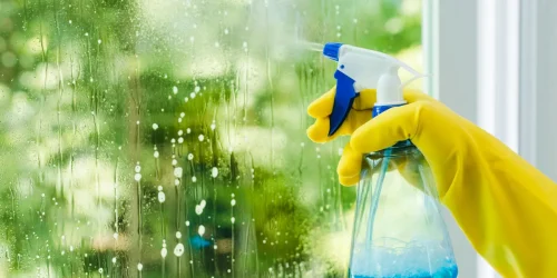 the benefits of regular window cleaning